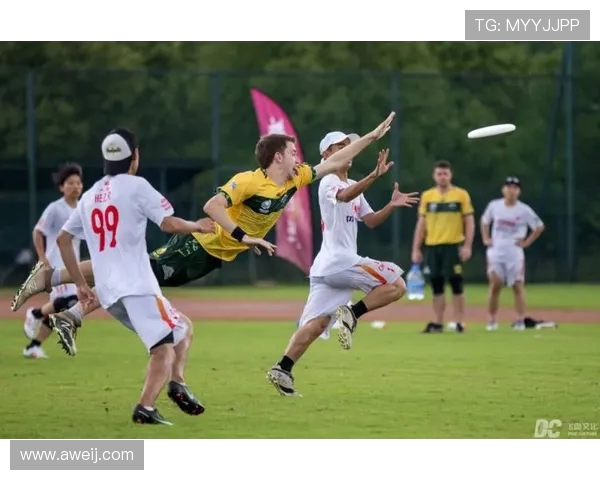 飞盘战术解析：重庆飞盘队如何打造高效进攻体系与团队协作