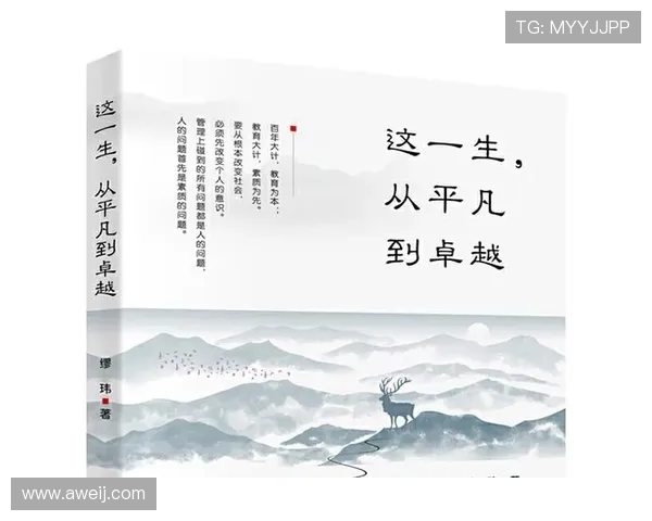 刘铮的奋斗历程与成就探讨:从平凡到卓越的成长之路